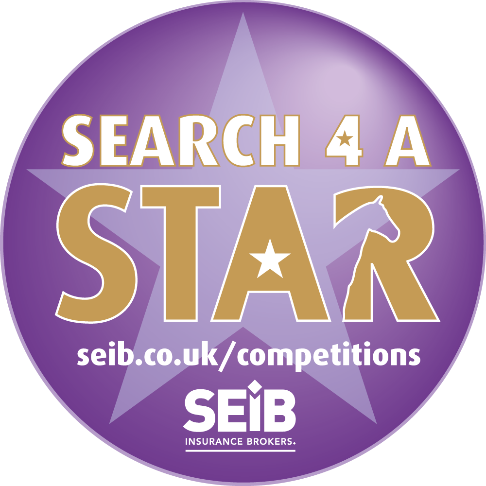 Search 4 A Star SEIB