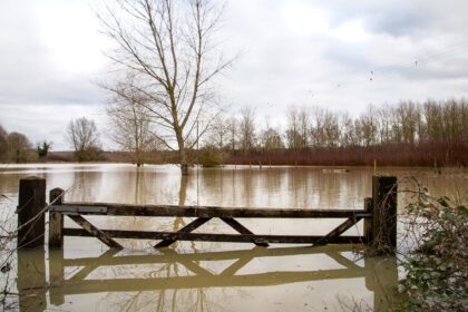 Flooded farm fields with wooden gate