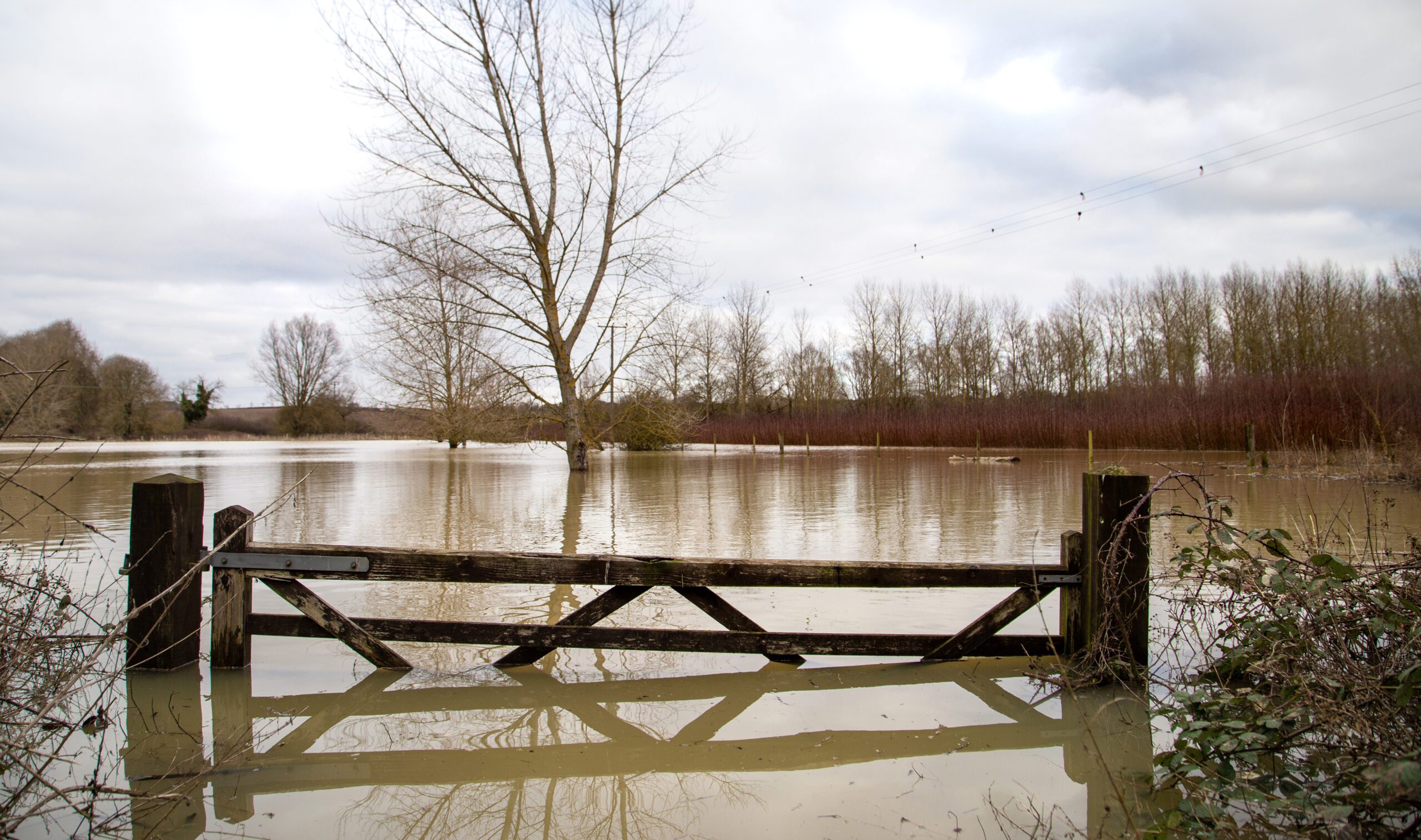 Flooded farm fields with wooden gate