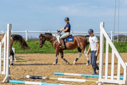 Horse riding lesson image