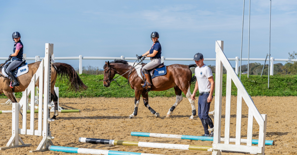 Horse riding lesson image