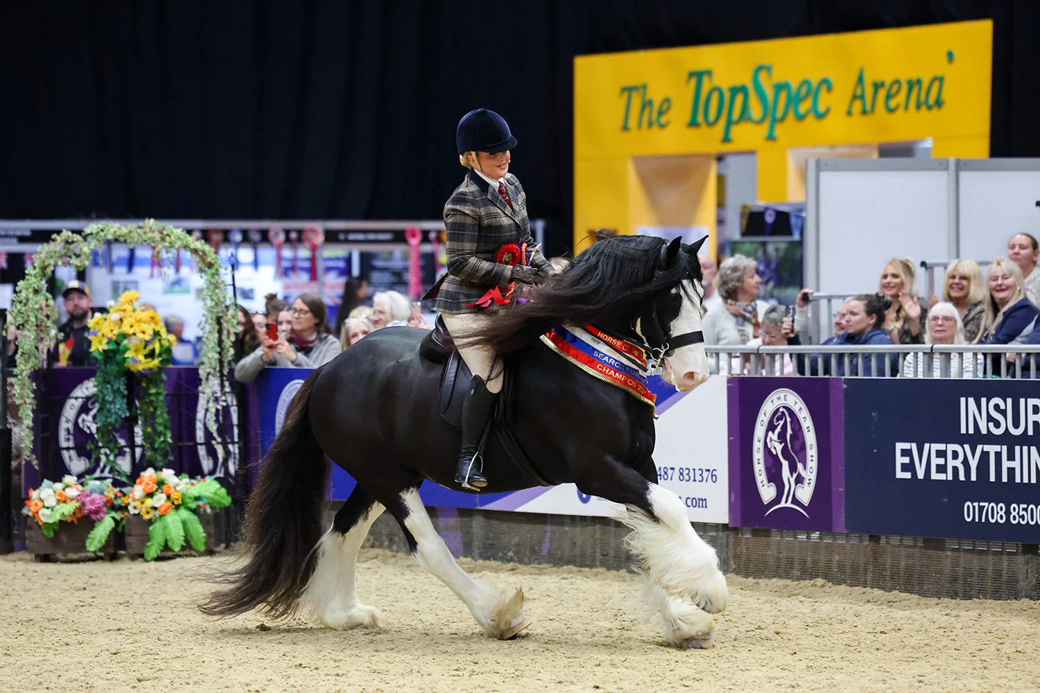 SEIB_SFAS_Competitor_HOYS