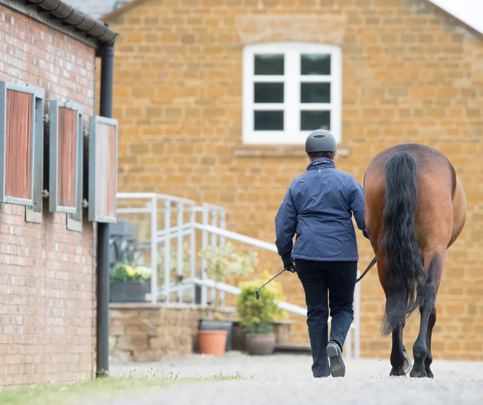 horse rider walking alongside horse